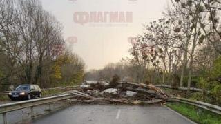 Бедствие на пътя Бургас-Созопол, движението е блокирано, по чудо няма жертви
