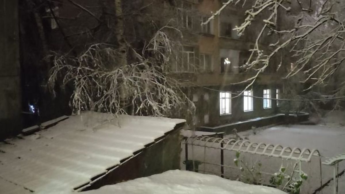 Официално! Зимата е тук, София е затрупана, а в страната... ВИДЕО