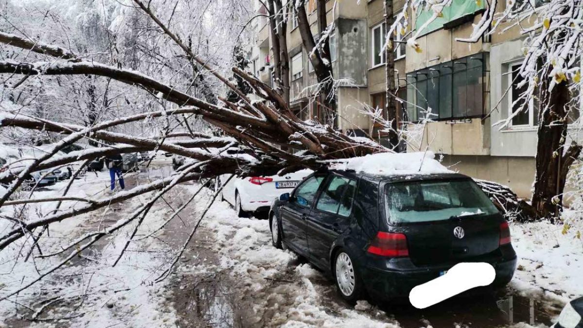СНИМКИ показват ужаса от столичния район "Изгрев"