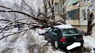 СНИМКИ показват ужаса от столичния район "Изгрев"