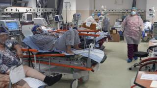 Учен от ЮАР с тревожна новина за преборилите К-19 и новия щам   