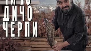 Дичо изненада с разкритието, че ще...