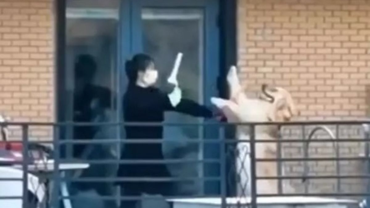 ВИДЕО запечата свирепа битка между ретривър и собственичката му