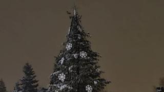 Коледната елха до НДК угасна, какво се случва?