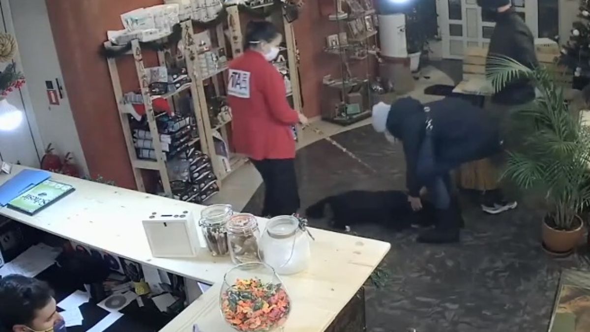 Абсурден случай в София 