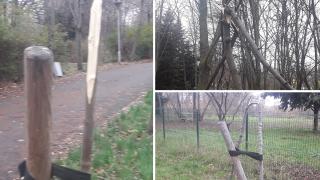 Пишлигари от Бургас направиха немислимото СНИМКИ