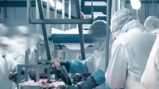 Скрита камера показа нечовешката експлоатация на нашенците в немските кланици ВИДЕО