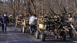 От четвъртък наказват с безвъзмезден труд, ето кой пръв ще си изпати