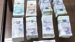 Митничарите в шок! Навръх Коледа провериха товарен автомобил ма Дунав мост и откриха... СНИМКИ