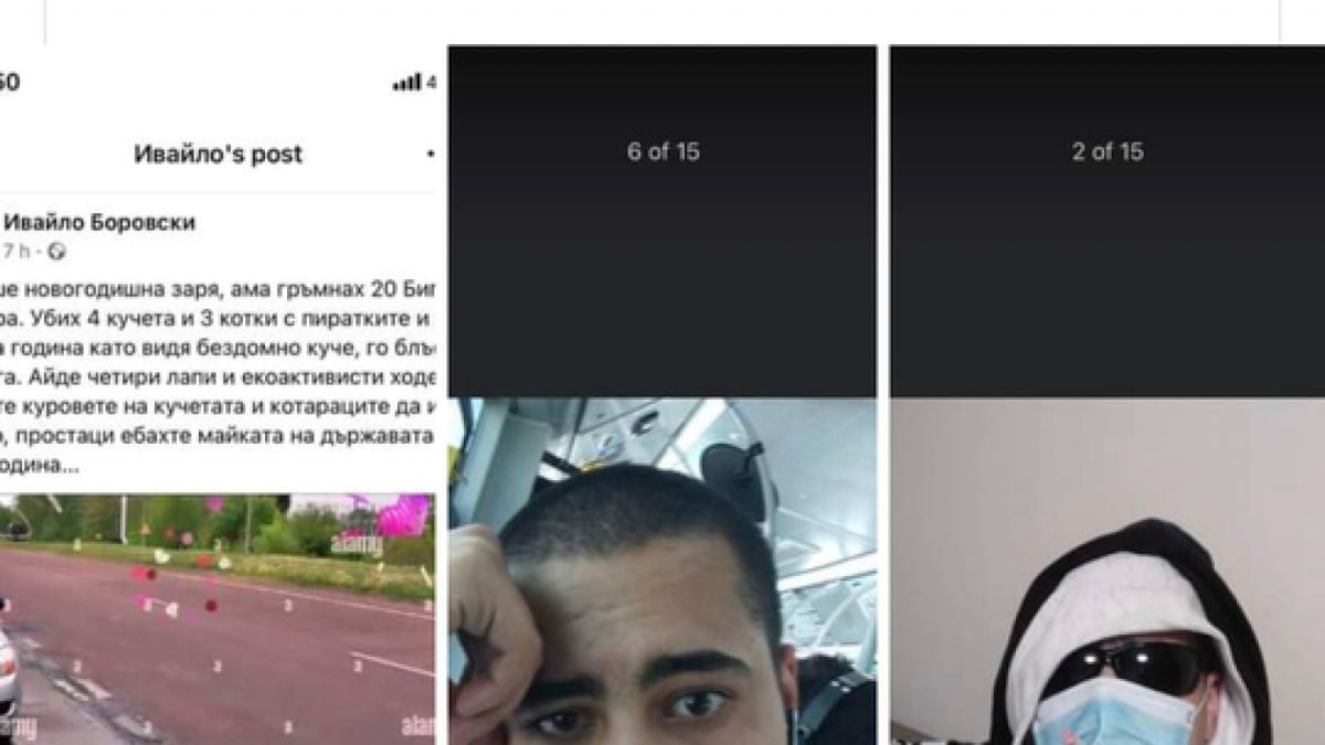 Простак от Троян: Убих 4 кучета и 3 котки с 20 Биг Тайгъра, "Четири лапи", духайте к.ровете!