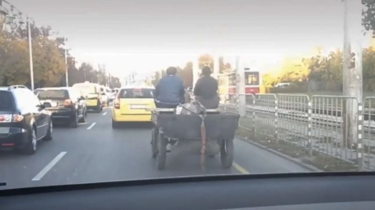 Уникално: Показаха как Tesla вижда каруците в София ВИДЕО