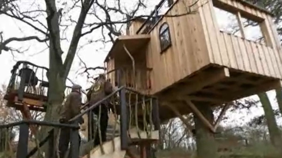 Семейство се върна да живее на дърво след хиляди години еволюция 