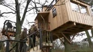 Семейство се върна да живее на дърво след хиляди години еволюция 