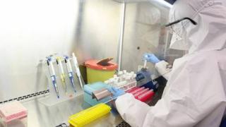 Сводка: Нищо обнадеждаващо относно ситуацията с К-19 в петък