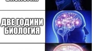 Биоложка с плитки и каска от антиковид протеста в София взриви мрежата ВИДЕО 