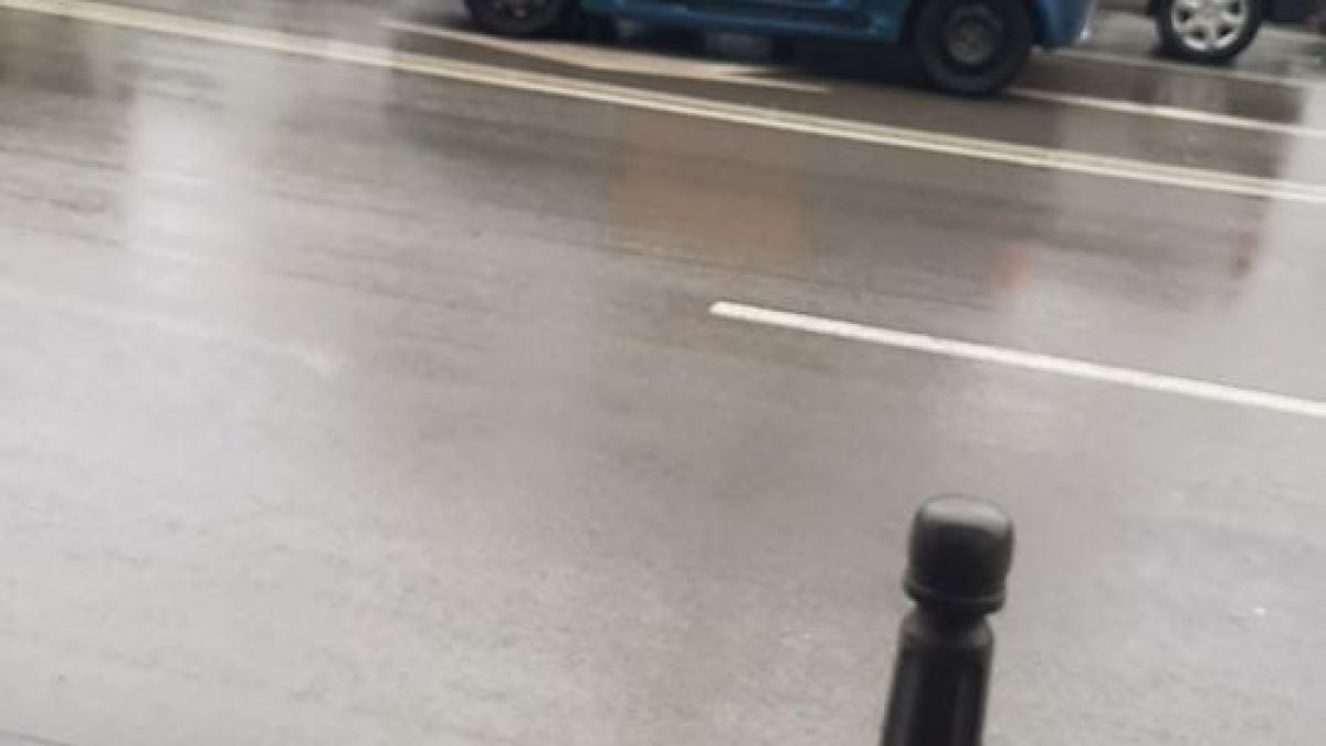 Всички се чудят и маят какво е това чудо, което пъпли по софийските улици СНИМКА