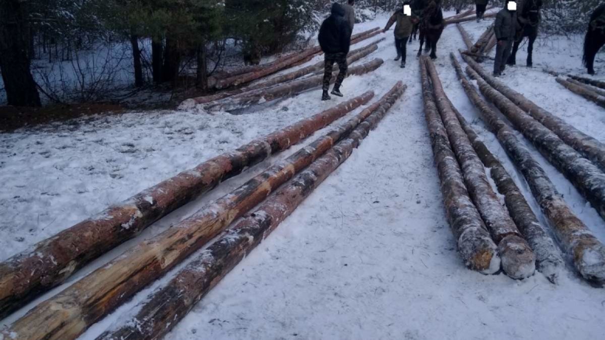 Масови арести в Ракитово, ето защо СНИМКИ