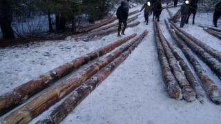 Масови арести в Ракитово, ето защо СНИМКИ