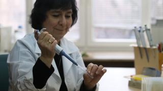 Проф. Петрова: COVID убива българите наред заради тази причина!
