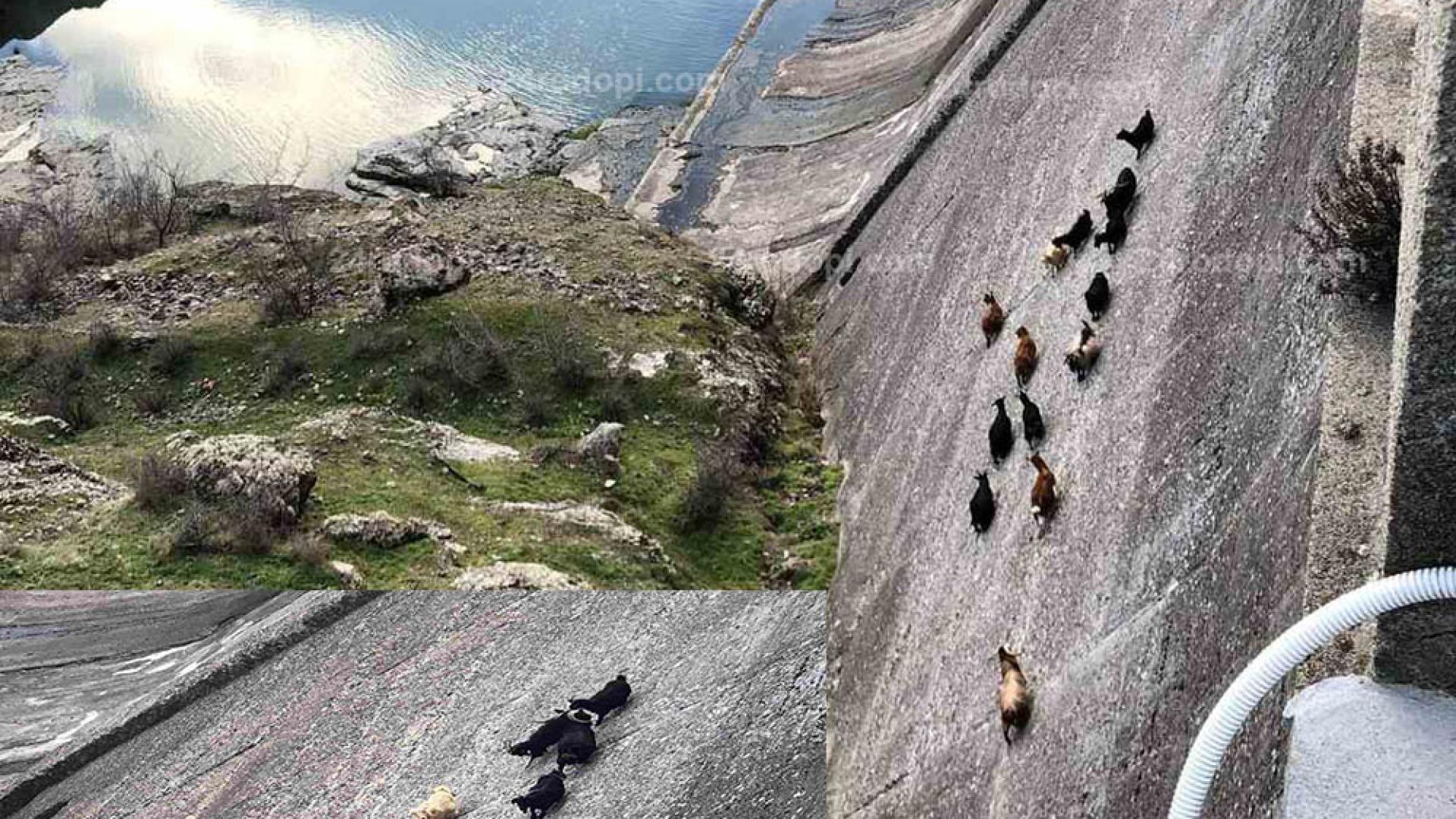 Сатанизъм в Родопите? Дяволи с рога подплашиха местни селяни СНИМКА