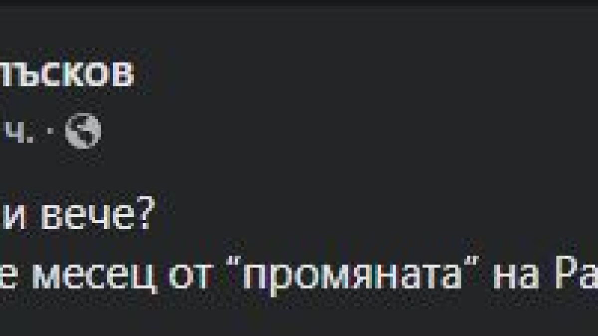 С въпрос за Борисов и Радев Петьо П. Блъсков подпали мрежата