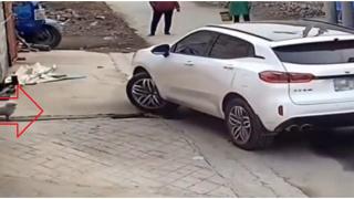 Шофьор се опита да катапултира куче в космоса ВИДЕО