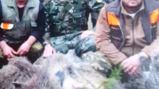 Ловджия от Петко Каравелово направи немислимото с два глигана СНИМКИ