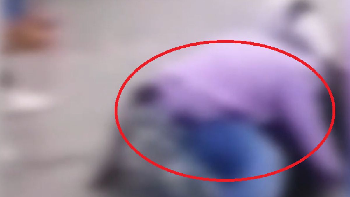 Грозно: Ученички се бият пред входа на училище в Плевенско ВИДЕО