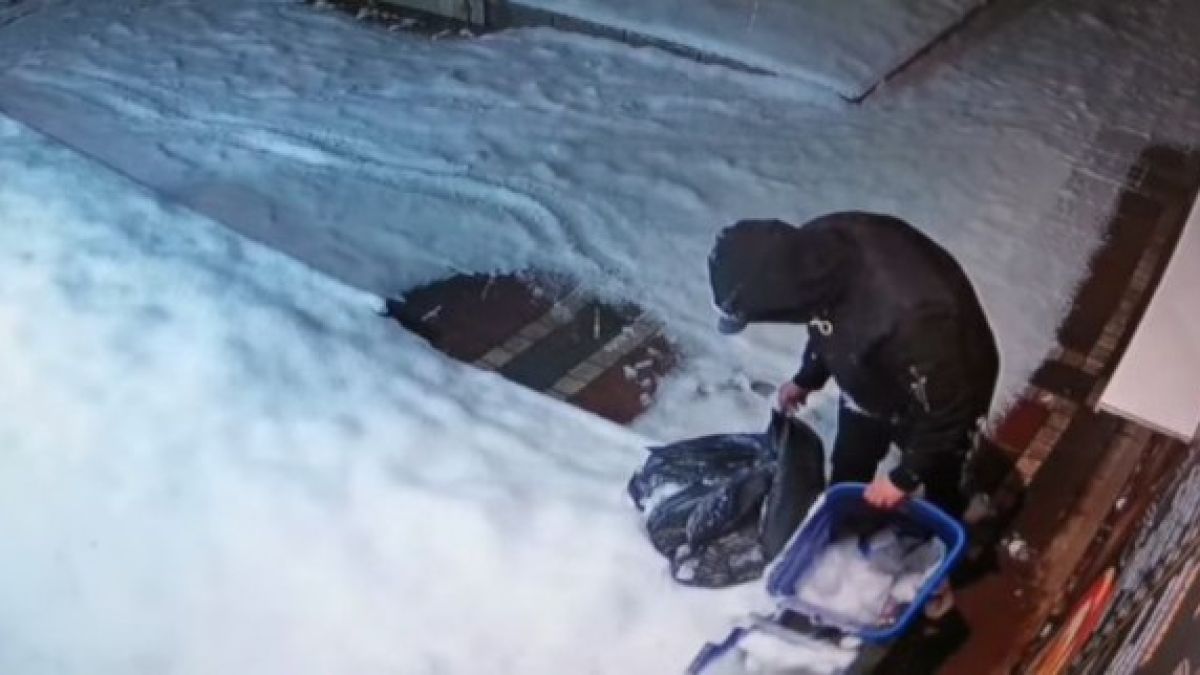 В жк "Люлин" вилнее много странен крадец ВИДЕО 
