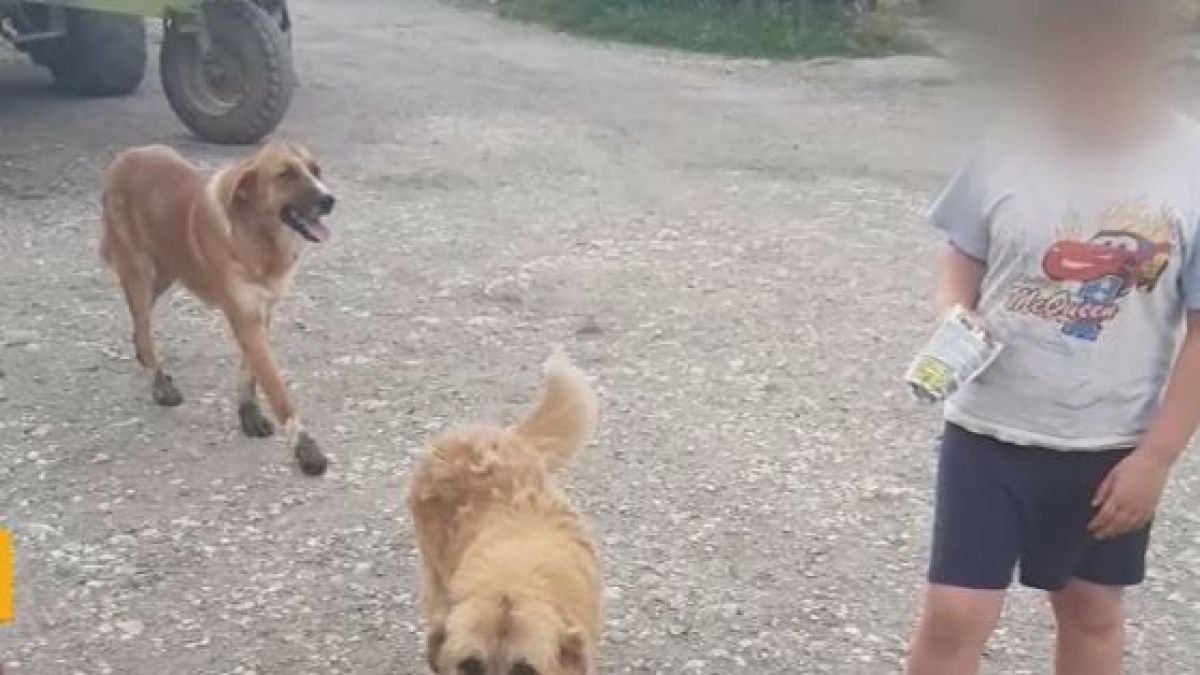 2 жестоки убийства разтърсиха Варненско ВИДЕО