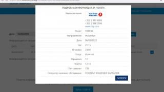 Пътници на Turkish Airlines чуха "Пригответе се за удар" и кошмарът започна ВИДЕО 