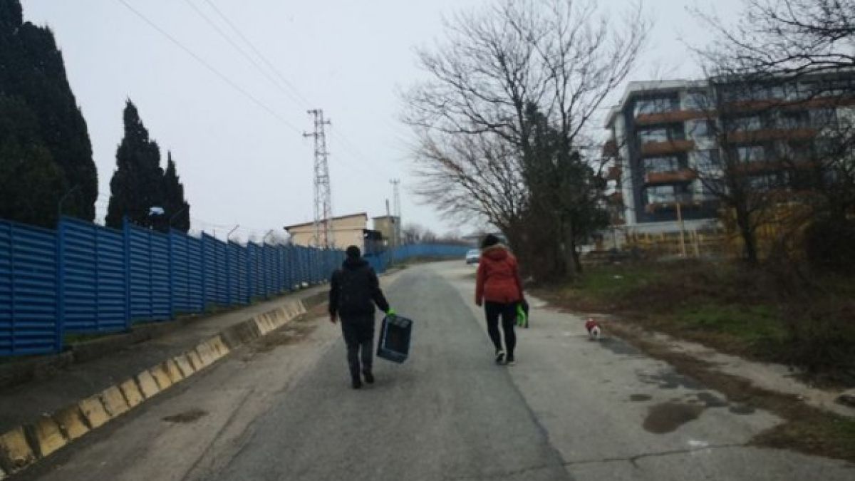 Варненец взриви нета: Тази симпатична двойка от Германия живее в Галата и са най-големите балъци!