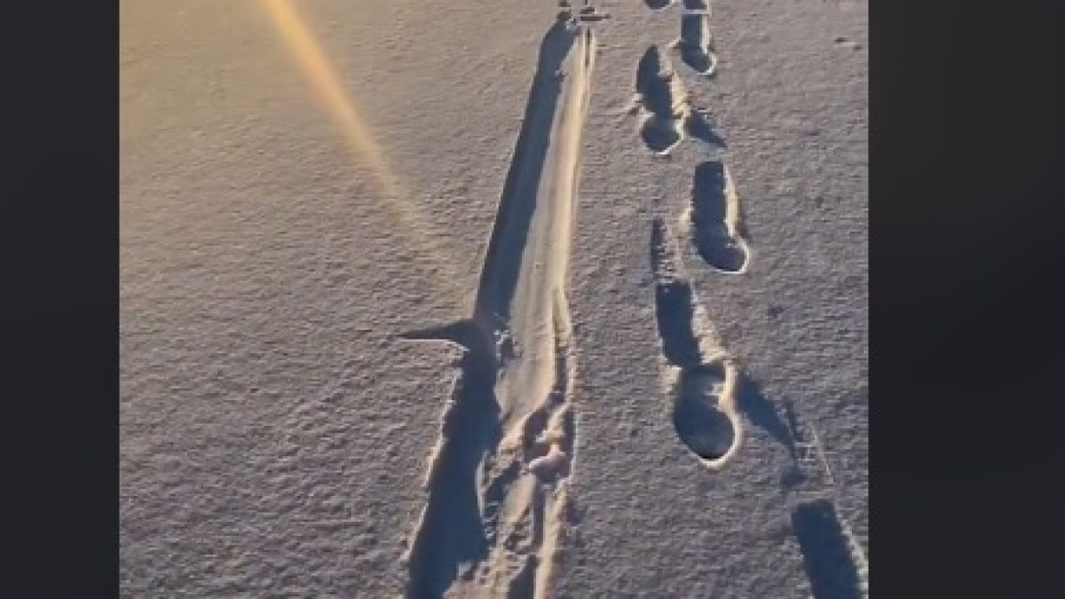 Мъж откри тайнствени следи в снега и разбра на кого са ВИДЕО