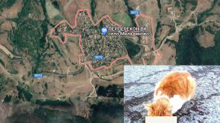 Нови разкрития за брутално зверство в Кърджалийско, потресло цяла България