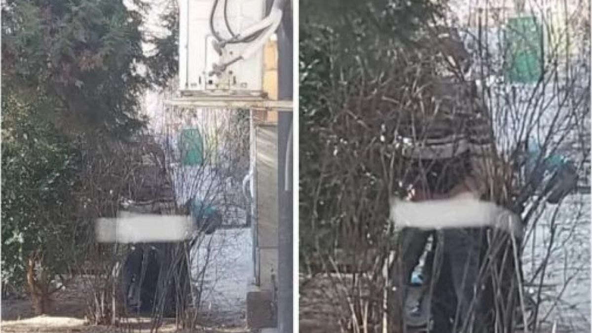 Разбра се кои правеха секс пред очите на дете в Благоевград посред бял ден СНИМКИ 18+