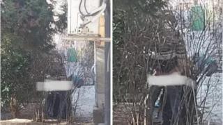 Разбра се кои правеха секс пред очите на дете в Благоевград посред бял ден СНИМКИ 18+