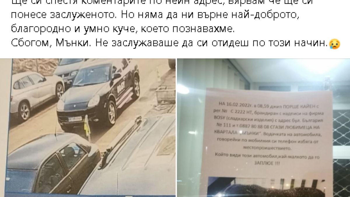 Шофьорка с Порше Кайен уби любимеца на кв."Манастирски ливади"! СНИМКИ