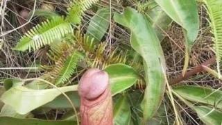 Това пък какво е - мрежата се чуди и мае СНИМКИ 