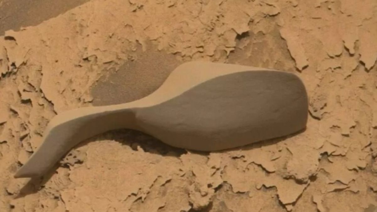 Невероятно: Curiosity откри сексиграчка на Марс