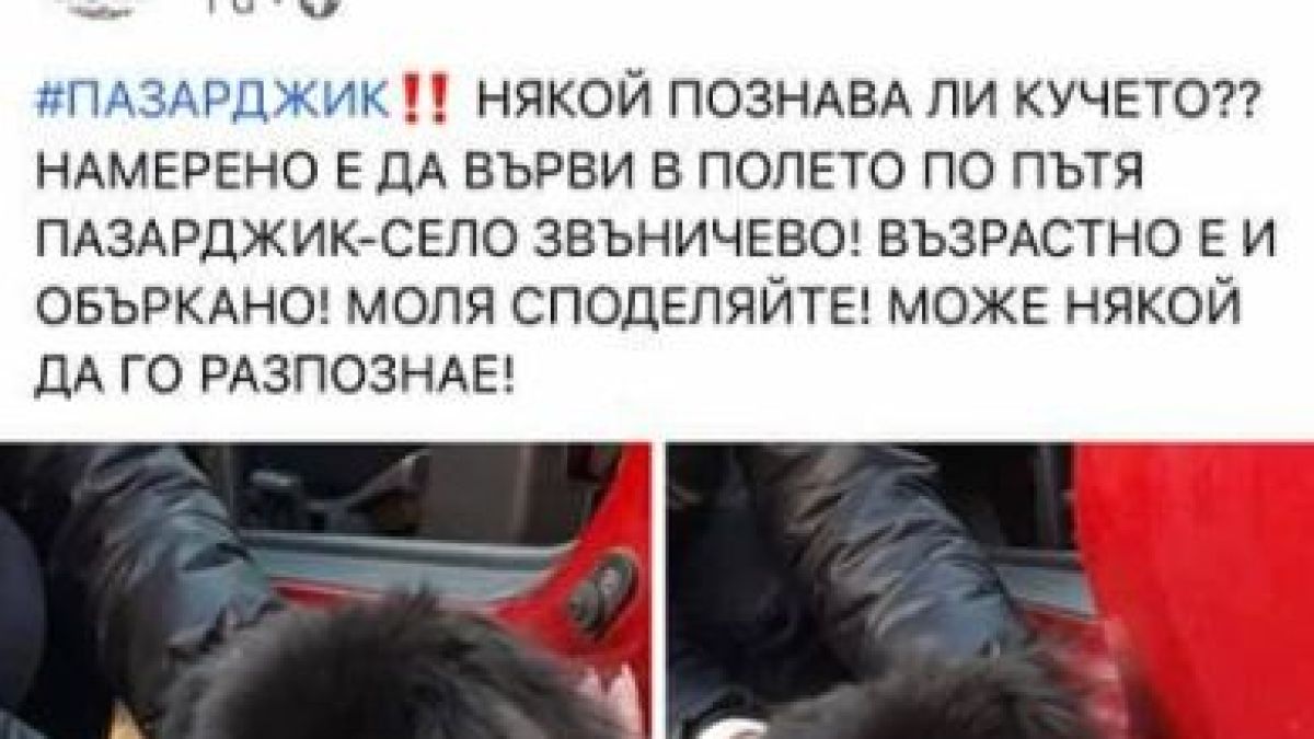 Най-верният другар на Денди потъна вдън земя след зверския побой 