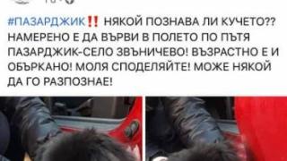 Най-верният другар на Денди потъна вдън земя след зверския побой 