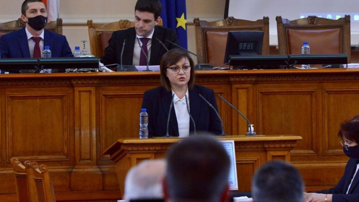 Нинова: Държавата ще добива дърва и ще ги продава без надценка