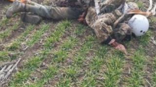 Извънредно: Свалиха украински Су-25 в Херсонска област СНИМКИ 18+