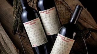 Vineyards Selection Тенево на „Вила Ямбол“ влезе в топ 5 на най-добрите български вина