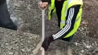 Мрежата гледа и не вярва на очите си! Какво прави легендарният Род Стюарт с лопата в ръка ВИДЕО 