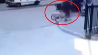 Невиждано чудо! Жена оцеля след тази зверска катастрофа в Дулово ВИДЕО