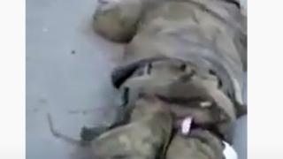 Брутално ВИДЕО 18+ с гаври, изтезания и убийства на пленени руски войници в Украйна потресе света