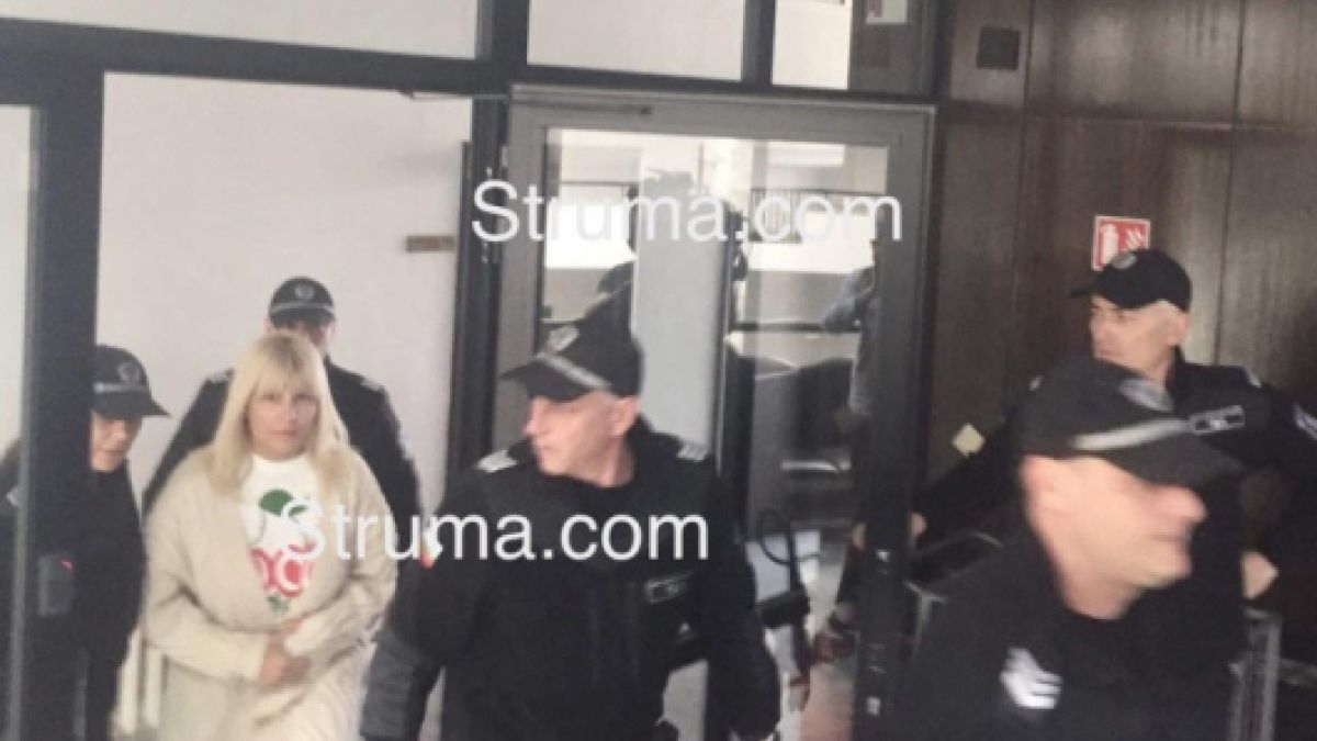 Закопчаната у нас румънска ексминистърка поискала политическо убежище, съдът я попари жестоко