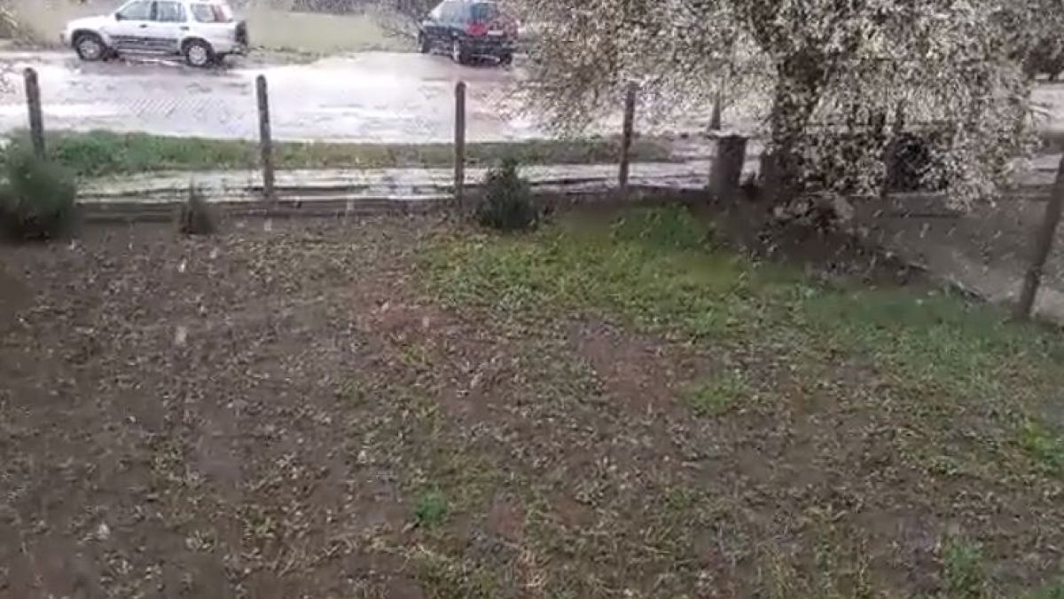 Времето съвсем се чална! Сняг сковава България ВИДЕО