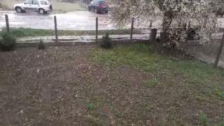 Времето съвсем се чална! Сняг сковава България ВИДЕО